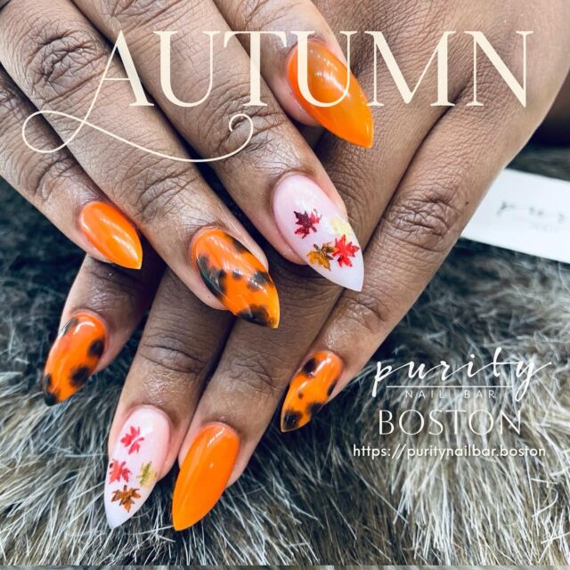 🍁 Fall in love with autumn vibes! 🍂 Embrace the season with these stunning matte black and autumn leaf nails, perfect for cozy sweaters and pumpkin spice. Visit us at Purity Nail Bar in Boston to get your own fall-inspired look! 
▫️ ▫️ ▫️
#PurityNailBar #NailsByJohn #BostonNails #BostonNailTech #BrightonNails #BrooklineNails #NailsOfInstagram #NailsArtAddict #Nails #NailArt #Beauty #Fashion #LongNails #NailPorn #NailSwag #NailAddict #BrightonMA #boston #springbreak #bostoncolledge